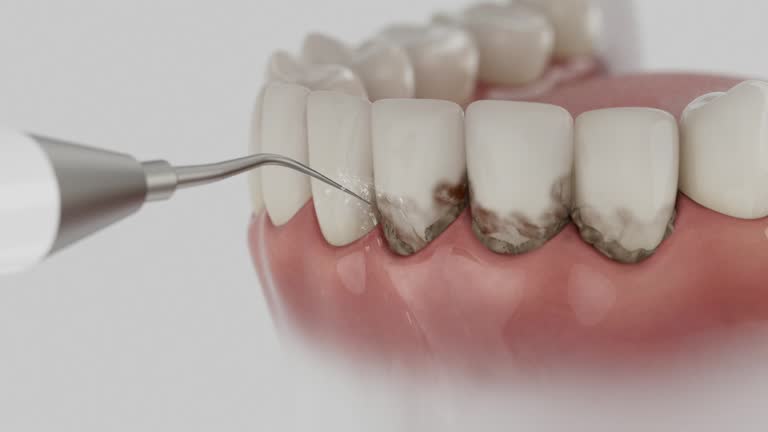 Reliable Dental contractor in Ashley, PA by Dentist Open Now